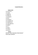 Referāts 'Bagātību sadales nevienlīdzības problēmas Latvijā un pasaulē. Džini indekss', 9.