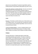 Referāts 'Uzņēmuma "Tesla Motors" SVID analīze', 5.