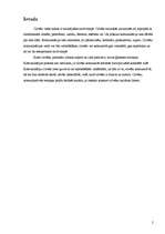 Referāts 'Ievads komunikācijā', 2.