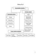 Konspekts 'Starptautiskās publiskās tiesības', 2.