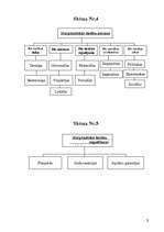 Konspekts 'Starptautiskās publiskās tiesības', 3.