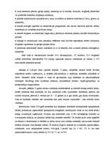 Referāts 'Brīvības atņemšanas iestāžu reformēšana un pielāgošana starptautiskajiem cilvēkt', 28.