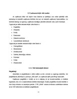 Prakses atskaite 'A/s "Latvijas valsts meži"', 11.