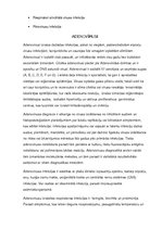 Referāts 'Virusālas respiratorās slimības un Covid19', 5.