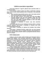 Referāts 'Personālvadības plāns', 20.