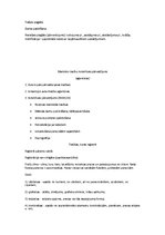 Referāts 'Autortiesības', 6.