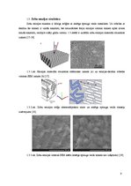 Referāts 'Vides ietekme uz zobu veselību', 9.