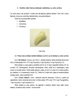 Referāts 'Vides ietekme uz zobu veselību', 11.