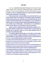 Referāts 'Coca-Cola', 3.