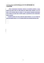 Referāts 'Coca-Cola', 11.