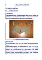 Referāts 'Coca-Cola', 22.