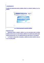 Referāts 'Coca-Cola', 24.