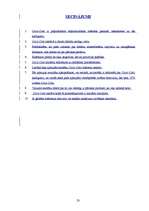 Referāts 'Coca-Cola', 33.