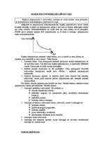 Konspekts 'Makroekonomika', 6.