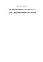 Eseja 'Literārā valoda ir/nav radoša', 3.