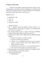 Referāts '10.Saeimas vēlēšanas - kampaņa, norise, rezultāti', 17.