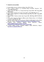 Referāts '10.Saeimas vēlēšanas - kampaņa, norise, rezultāti', 20.