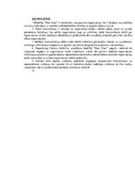 Prakses atskaite 'Biedrības "New Door" iekšējā komunikācija', 12.