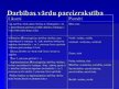 Prezentācija 'Vārdšķiru pareizrakstība', 12.