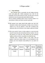 Biznesa plāns 'Biznesa plāns uzņēmumam "Kliņģeris"', 9.