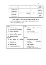 Biznesa plāns 'Biznesa plāns uzņēmumam "Kliņģeris"', 10.