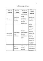 Biznesa plāns 'Biznesa plāns uzņēmumam "Kliņģeris"', 19.