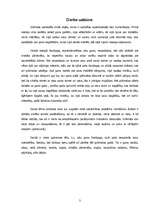 Referāts 'Paulu Koelju "Alķīmiķis"', 3.