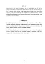 Referāts 'Paulu Koelju "Alķīmiķis"', 4.