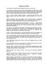 Referāts 'Paulu Koelju "Alķīmiķis"', 12.