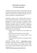 Referāts 'Bērnu tiesības', 3.