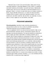 Referāts 'Izcelsme un mūsdienu priekšstats par pilsonisko sabiedrību', 5.