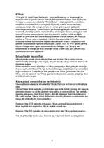 Eseja 'Latviešu strēlnieki', 6.