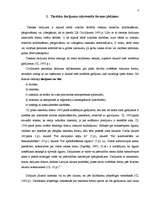 Referāts 'Tiesiska darījuma rakstveida formas nepieciešamība', 3.