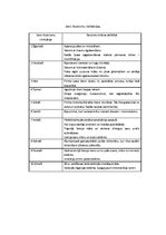 Konspekts 'Seno Austrumu civilizācijas', 1.