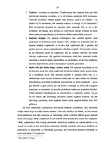 Diplomdarbs 'Materiālā un nemateriālā motivēšana uzņēmumā un darbinieku apmierinātība', 29.