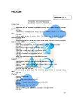 Biznesa plāns 'Jauna ēdināšanas uzņēmuma koncepcijas izstrāde', 37.