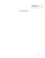 Biznesa plāns 'Jauna ēdināšanas uzņēmuma koncepcijas izstrāde', 43.