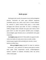 Referāts 'Sociometrija', 4.