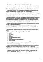 Referāts 'Organizāciju/uzņēmumu struktūra', 2.