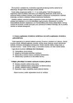 Referāts 'Organizāciju/uzņēmumu struktūra', 9.