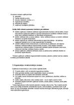 Referāts 'Organizāciju/uzņēmumu struktūra', 10.