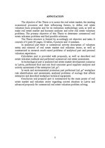 Diplomdarbs 'Komerciāla rakstura nekustamā īpašuma vērtēšanas problēmas un risinājumi', 2.