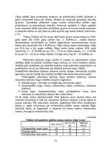 Diplomdarbs 'Komerciāla rakstura nekustamā īpašuma vērtēšanas problēmas un risinājumi', 15.