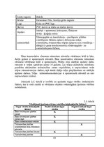 Diplomdarbs 'Komerciāla rakstura nekustamā īpašuma vērtēšanas problēmas un risinājumi', 40.