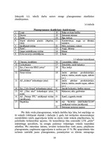 Diplomdarbs 'Komerciāla rakstura nekustamā īpašuma vērtēšanas problēmas un risinājumi', 56.