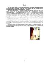 Referāts 'Depresija', 3.