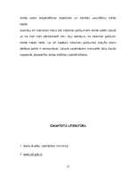 Referāts 'Darba drošība', 17.