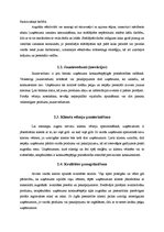 Referāts 'Uzņēmuma konkurējošās vērtības', 5.