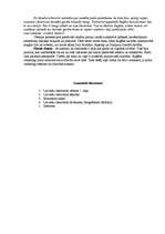 Referāts 'Jānis Ruģēns', 3.