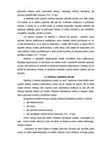 Referāts 'Drukātā reklāma', 4.